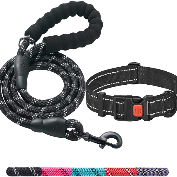 Dog Leash 