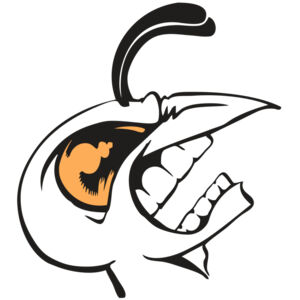 BAW BEE 19 RC Thumbnail