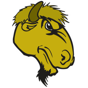 AR BUFFALO 14 RC Thumbnail