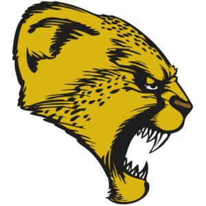 BAW CHEETAH 13 RC Thumbnail