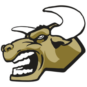 AR3 BULL 01 RQC Thumbnail