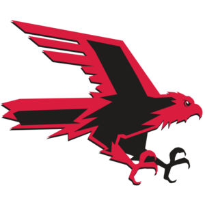 AR9 FALCON 02 RQC Thumbnail