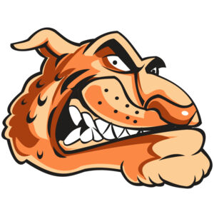 CHEETAH HD0503 RQC Thumbnail