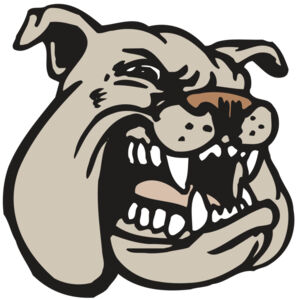 AR BDOG 38 RC Thumbnail