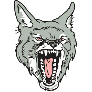 AR32 COYOTE 11 RQC Thumbnail