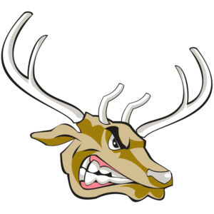 ELK HD0501 RQC Thumbnail