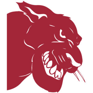 AR5 COUGAR 37 RQC Thumbnail