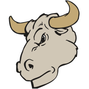 AR BULL 25 RC Thumbnail