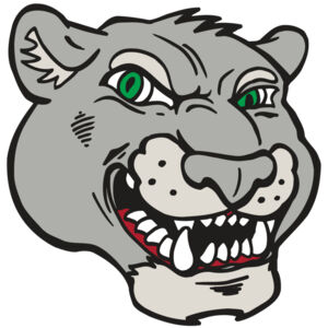 AR5 Cougar 06 RQC Thumbnail