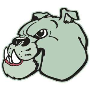 AR BDOG 29 RC Thumbnail