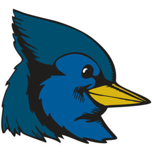 BAW BLUEJAY 07 RC Thumbnail