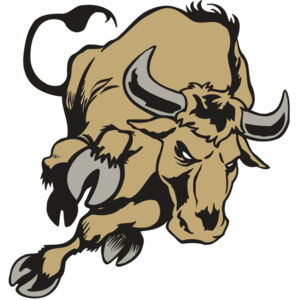 AR BULL 51 RC Thumbnail