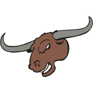 AR BULL 10 RC Thumbnail