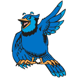 BAW BLUEJAY 06 RC Thumbnail