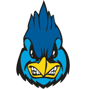 BAW BLUEJAY 02 RC Thumbnail