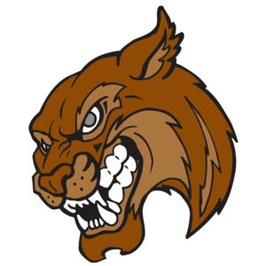 AR5 BOBCAT 07 RQC Thumbnail