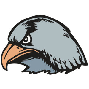 BAW HWK FLCN 03 RC Thumbnail