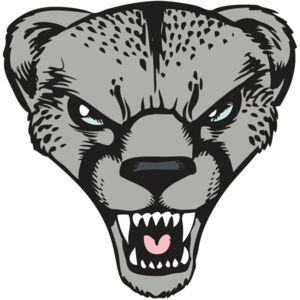 BAW CHEETAH 15 RC Thumbnail