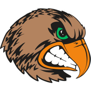 BAW HWK FLCN 09 RC Thumbnail