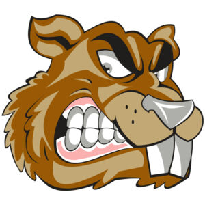 BEAVER HD0503 RQC Thumbnail