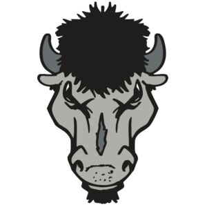 AR BUFFALO 15 RC Thumbnail