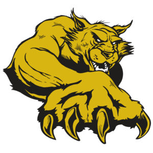 AR WILDCAT 26 RC Thumbnail