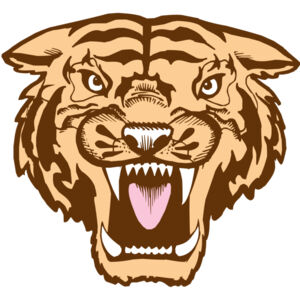 BAW TIGER 05 RC Thumbnail