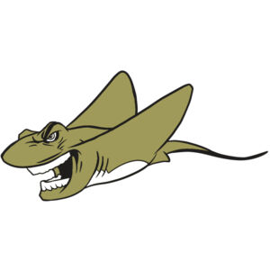 AR19 STINGRAY 07 RQC Thumbnail