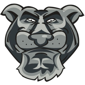 PANTHER HD0501 RQC Thumbnail