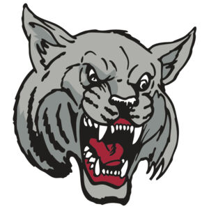 AR WILDCAT 42 RC Thumbnail