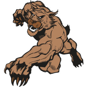 AR WILDCAT 47 RC Thumbnail