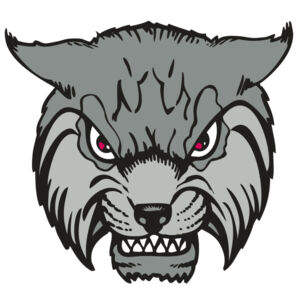 BAW BOBCAT 02 RC Thumbnail