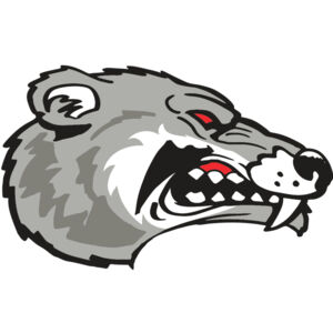 AR WOLVERINE 13 RC Thumbnail