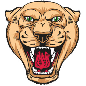 AR13 PNTHR 01 RQC Thumbnail