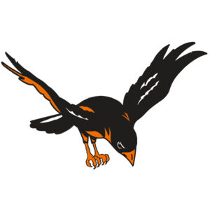 AR ORIOLE 16 RC Thumbnail