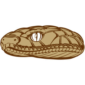 BAW SNAKE 12 RC Thumbnail