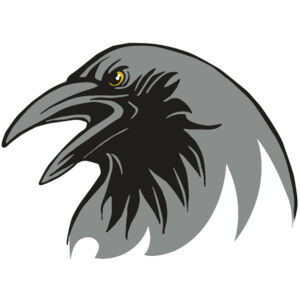 AR31 RAVEN 02 RQC Thumbnail