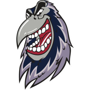 RAVEN HD0503 RQC Thumbnail