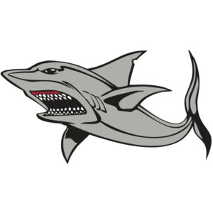 BAW SHARK 03 RC Thumbnail