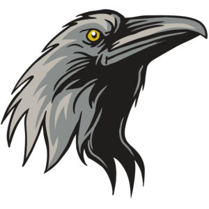 AR31 RAVEN 01 RQC Thumbnail