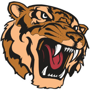 BAW TIGER 07 RC Thumbnail