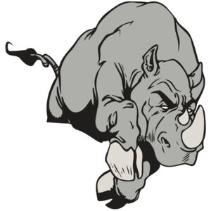 AR5 Rhino 11 RQC Thumbnail