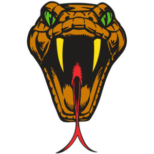 BAW SNAKE 05 RC Thumbnail