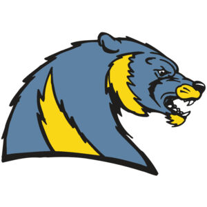 AR5 Wolverine 20 RQC Thumbnail