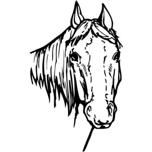 HORSE004 Thumbnail