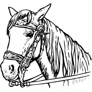 HORSE005 Thumbnail