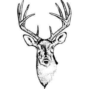 DEER010 Thumbnail