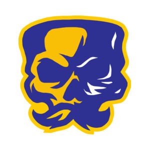 Elements Skulls logo template 151 Thumbnail