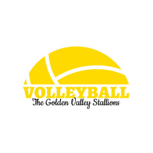 Volleyball 40 Thumbnail