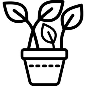 Plotted Plant 3 Thumbnail
